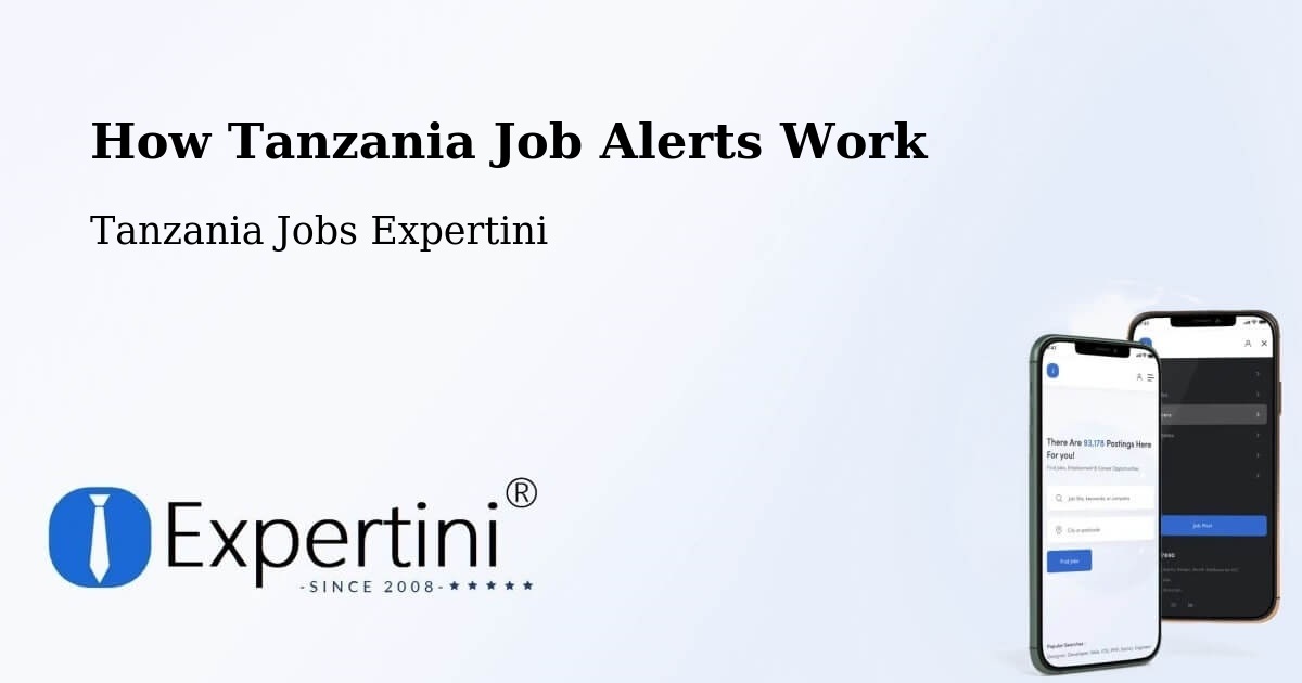 Job Alert System Overview – Dareda - Tanzania Jobs Expertini